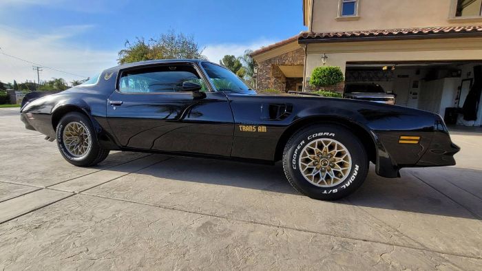 Pontiac-Trans-am-1978-Black-Black-10