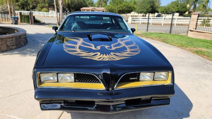 Pontiac-Trans-am-1978-Black-Black-11