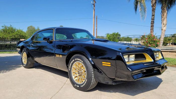 Pontiac-Trans-am-1978-Black-Black-12