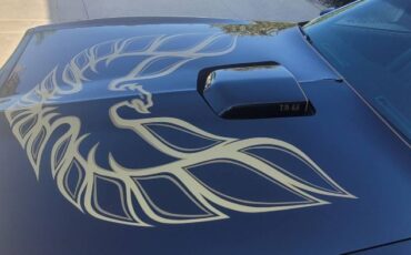 Pontiac-Trans-am-1978-Black-Black-15