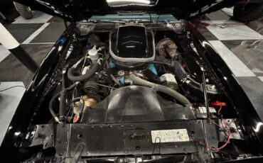 Pontiac-Trans-am-1978-Black-Black-21