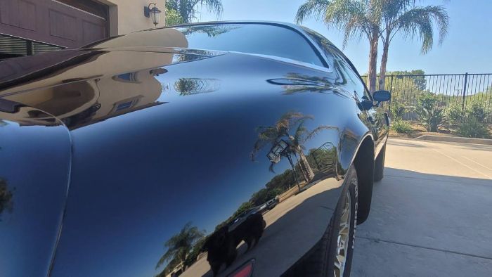 Pontiac-Trans-am-1978-Black-Black-31