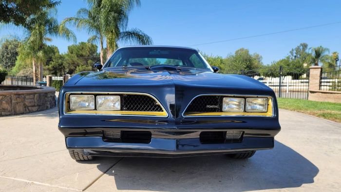 Pontiac-Trans-am-1978-Black-Black-8