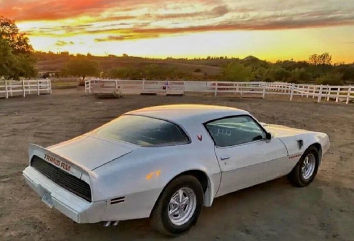 Pontiac-Trans-am-1979-4