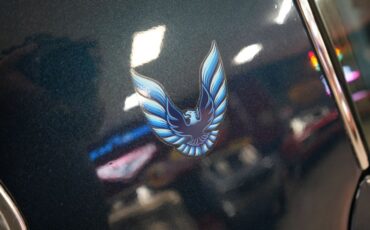 Pontiac-Trans-am-1979-Dark-Blue-Blue-17