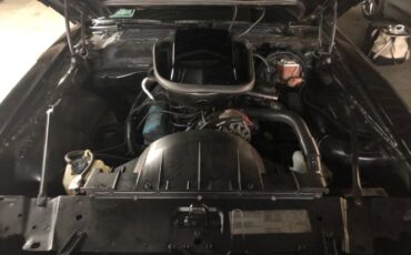 Pontiac-Trans-am-1979-Starlight-Black-Black-19