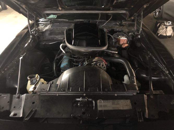 Pontiac-Trans-am-1979-Starlight-Black-Black-19