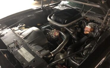 Pontiac-Trans-am-1979-Starlight-Black-Black-20
