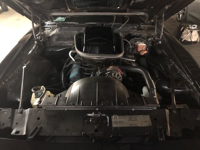 Pontiac-Trans-am-1979-Starlight-Black-Black-21