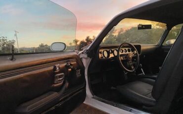 Pontiac-Trans-am-1979-White-WhiteBlack-11
