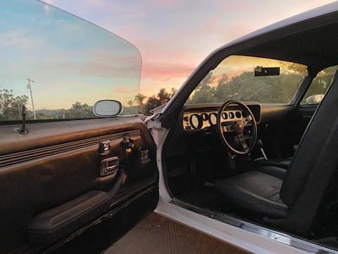 Pontiac-Trans-am-1979-White-WhiteBlack-11