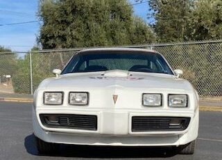 Pontiac-Trans-am-1979-White-WhiteBlack-13