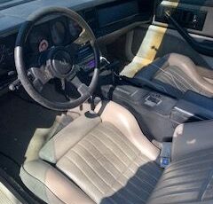 Pontiac-Trans-am-1983-11