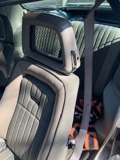 Pontiac-Trans-am-1983-17