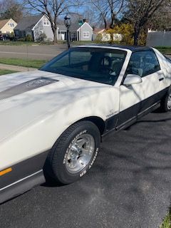 Pontiac-Trans-am-1983-2