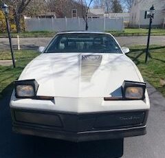Pontiac-Trans-am-1983