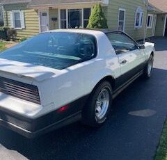 Pontiac-Trans-am-1983-7