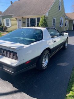 Pontiac-Trans-am-1983-7