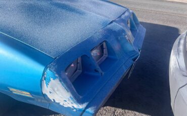 Pontiac-firebird-1979-blue-14