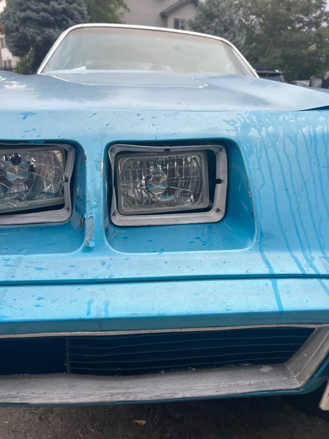 Pontiac-firebird-1979-blue-17
