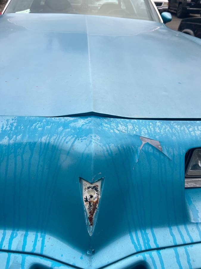Pontiac-firebird-1979-blue-18