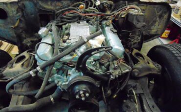 Pontiac-firebird-trans-am-ws6-1979-1