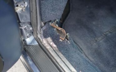 Porsche-911-1988-Venetian-Blue-Metall-12