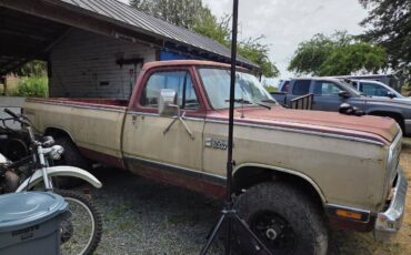 Power-ram-4-speed-manual-4x4-1984-brown-3