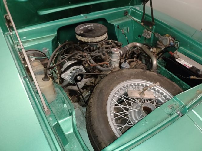 Reliant-Other-1978-Jade-Tan-5
