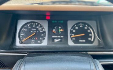 Renault-Encore-1987-Black-Gold-10