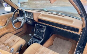 Renault-Encore-1987-Black-Gold-18