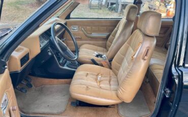 Renault-Encore-1987-Black-Gold-5