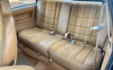 Renault-Encore-1987-Black-Gold-9