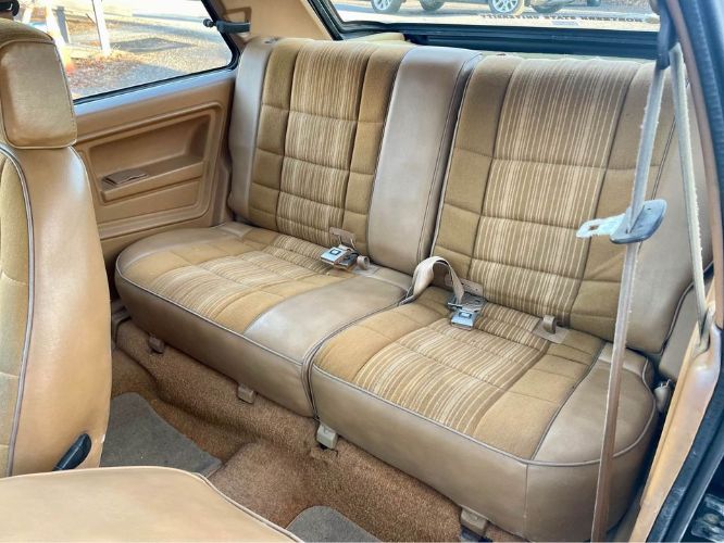Renault-Encore-1987-Black-Gold-9