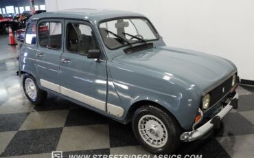 Renault-Other-1992-Gray-17