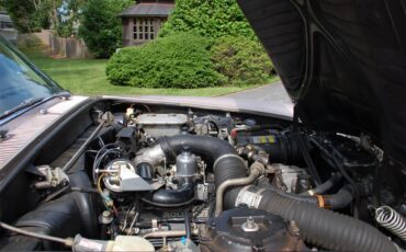 Rolls-royce-Silver-shadow-ii-1979-COGNAC-amp-CHAMPAGNE-PARCHMENT-BRN-PIPING-20