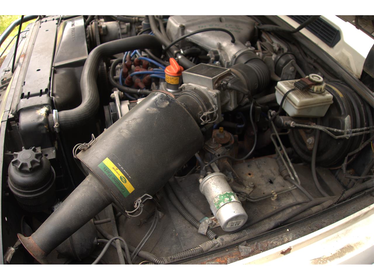 Rover-1988-White-Gray-19