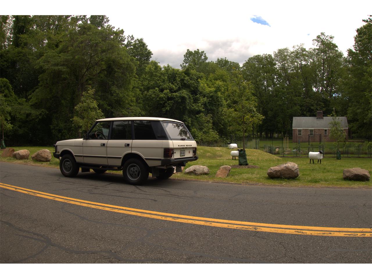 Rover-1988-White-Gray-6