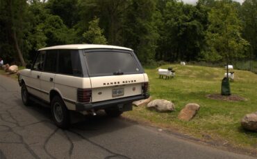 Rover-1988-White-Gray-7