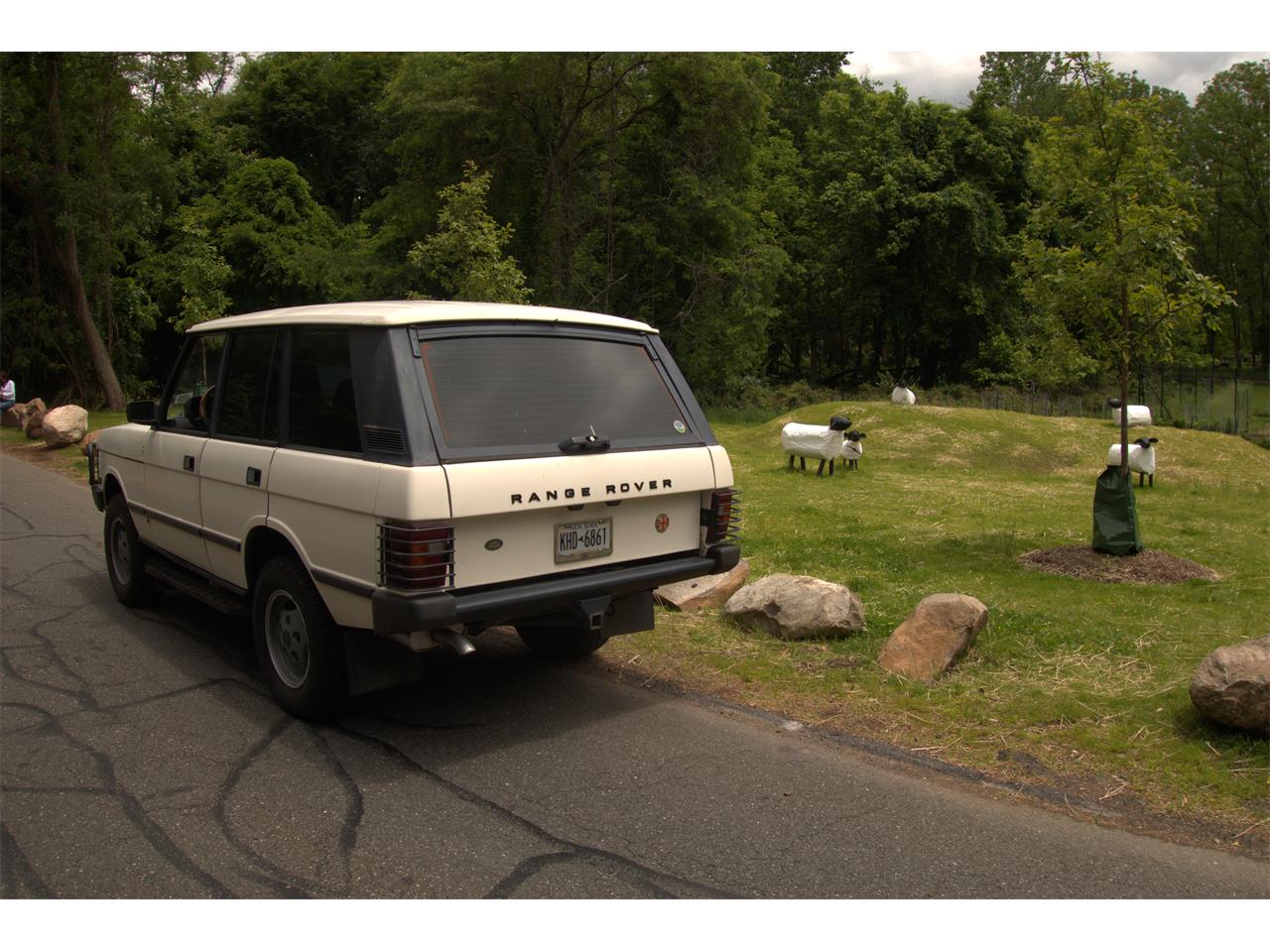 Rover-1988-White-Gray-7