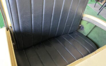 Shay-Roadster-1980-TAN-BLACK-19