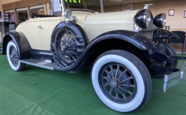 Shay-Roadster-1980-TAN-BLACK-2