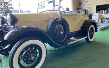 Shay-Roadster-1980-TAN-BLACK-22