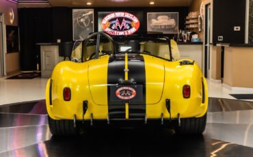 Shelby-Cobra-1965-Other-14