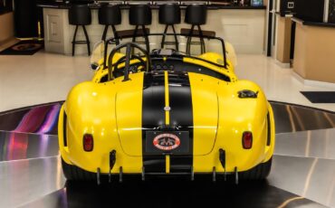 Shelby-Cobra-1965-Other-15