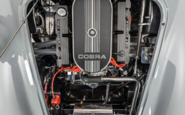 Shelby-Cobra-1965-Other-3