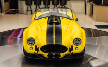 Shelby-Cobra-1965-Other-8