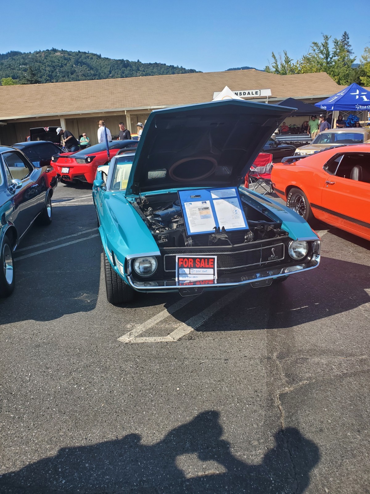 Shelby-GT-500-convertible-1969-Convertible-12
