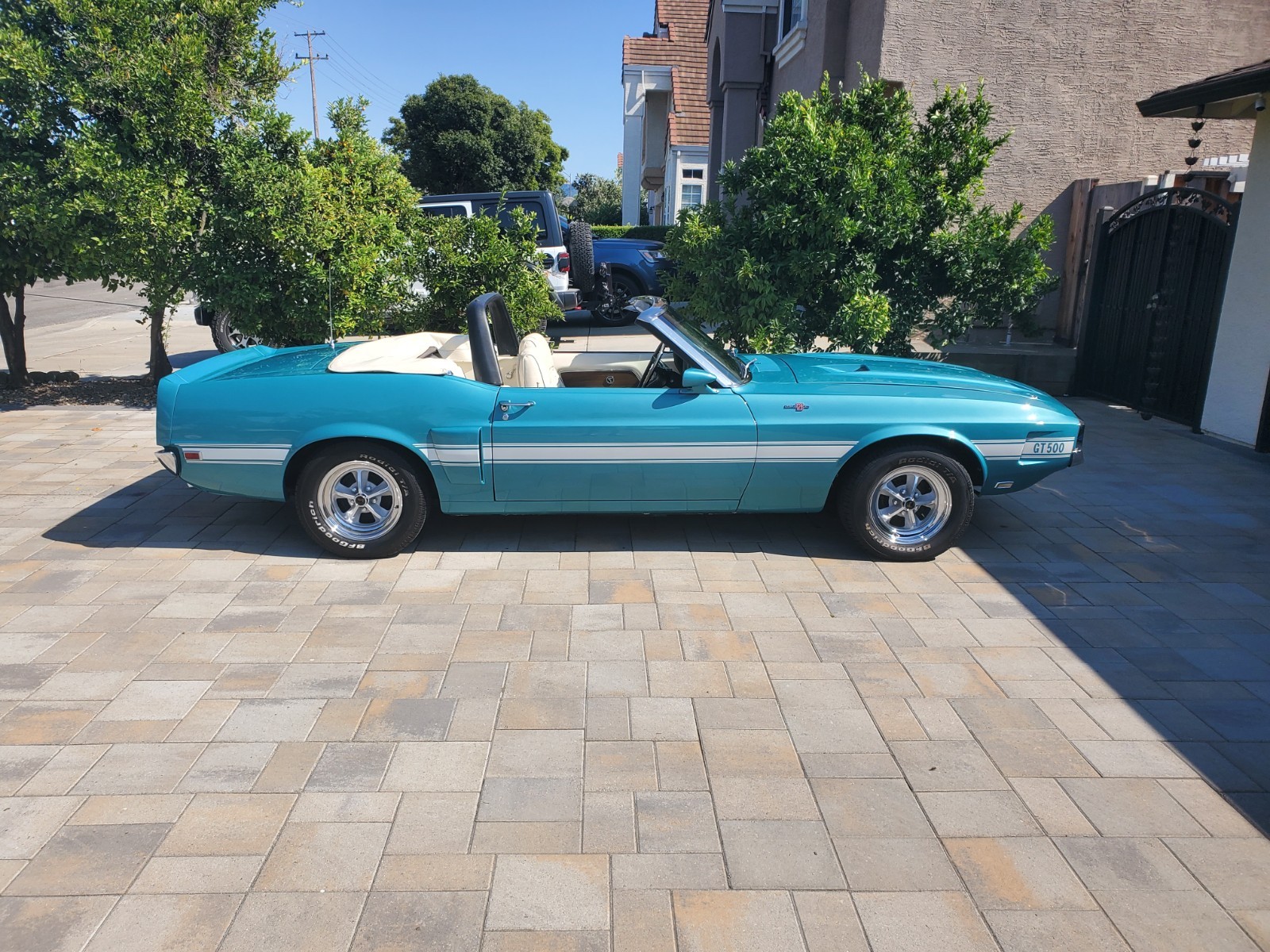 Shelby-GT-500-convertible-1969-Convertible-13