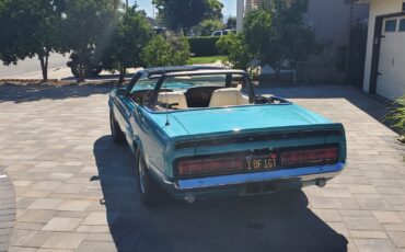 Shelby-GT-500-convertible-1969-Convertible-14
